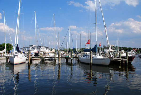 [DSC_1938_sm.jpg]