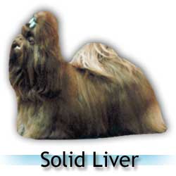 [solid_liver.jpg]