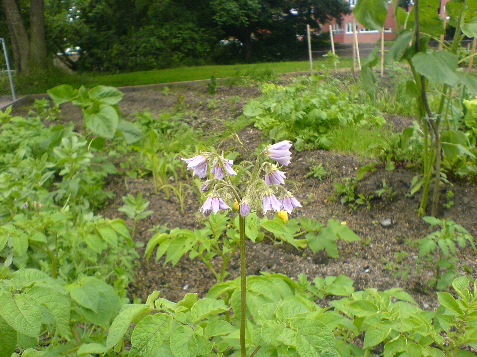 [DSC00087.JPG]