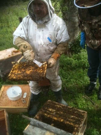 Highland Holiday Cottages Nr Aviemore Introduction To Beekeeping