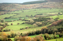 Ireland Countryside...