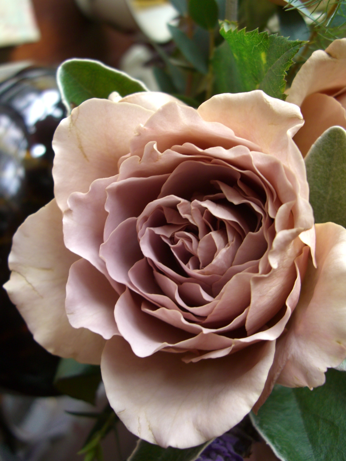 Echoing Shards • Unusual Roses