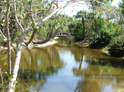 Sanibel Scenes