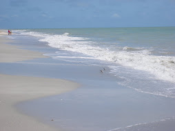 A day at the beach