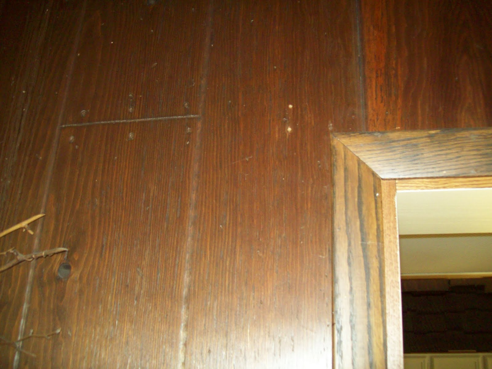 Herrera's Textures & Finishes Texturing over Paneling!