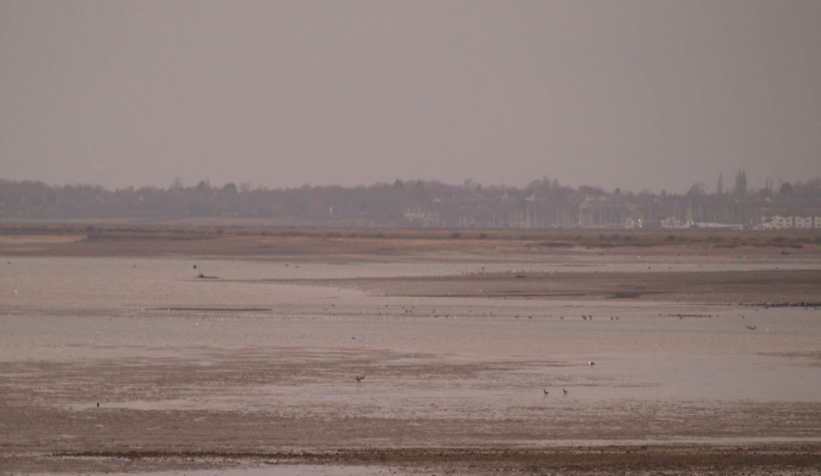 [TBTM20071227.jpg]
