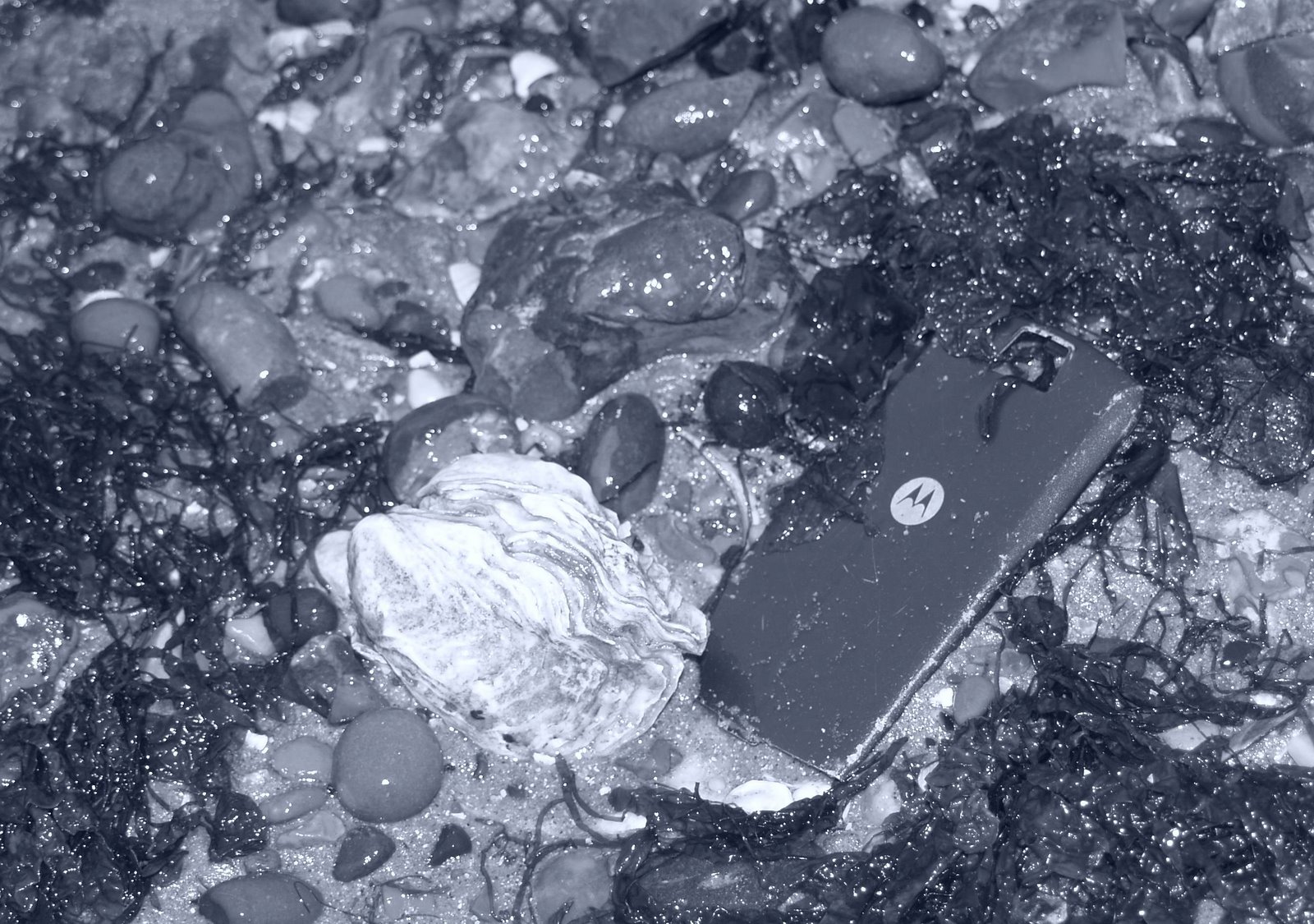 [TBTM20080118.jpg]