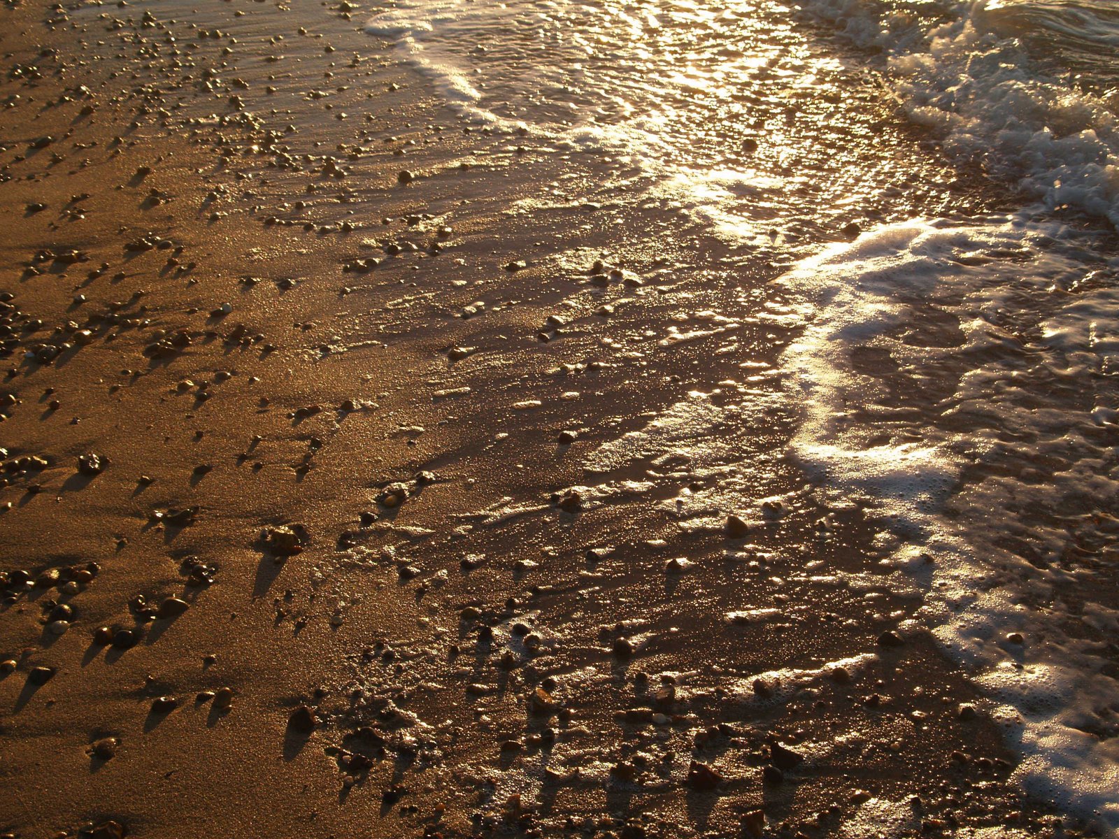 [TBTM20080202.jpg]