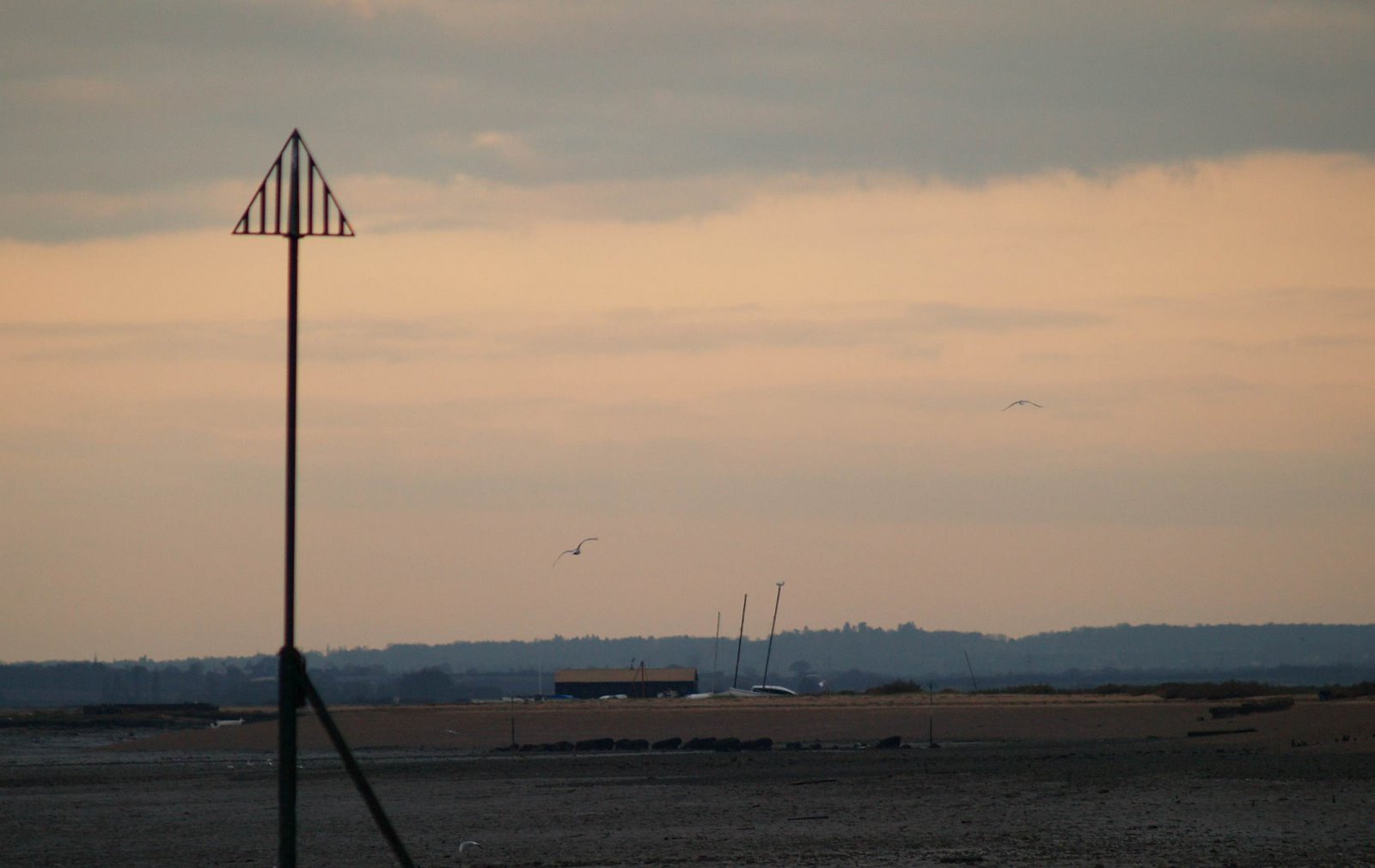 [TBTM20080224.jpg]