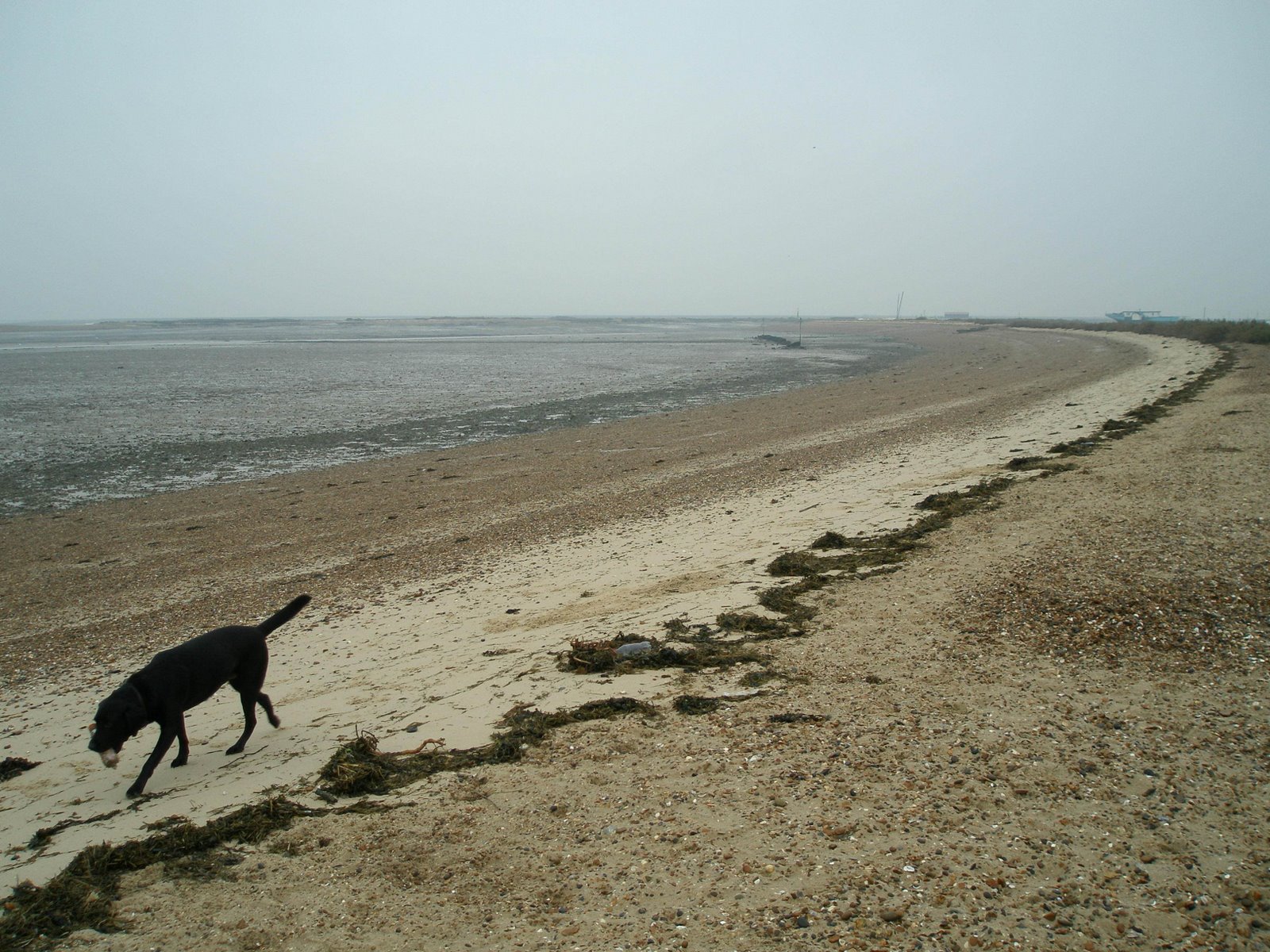 [tbtm20070220.jpg]