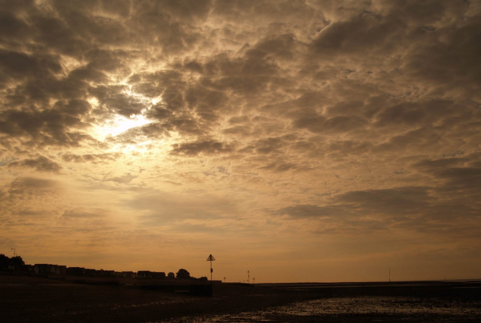 [TBTM20080617.jpg]