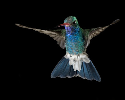 Beautiful photos of moving objects Seen On www.coolpicturegallery.net Beautiful photos of moving objects Seen On www.coolpicturegallery.net