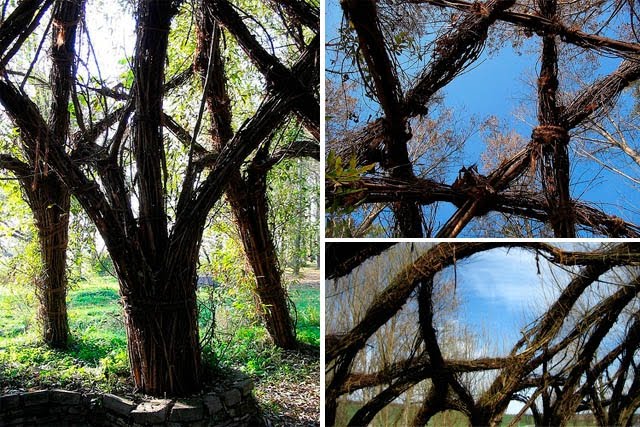 [plant-creations39.jpg]