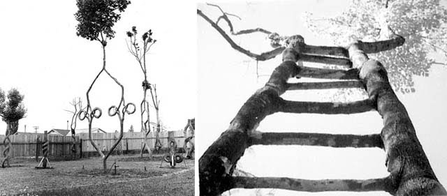 [plant-creations35.jpg]