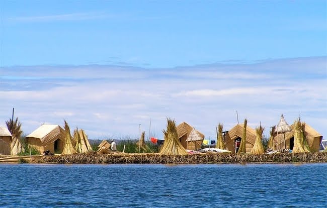 [plant-creations54.jpg]