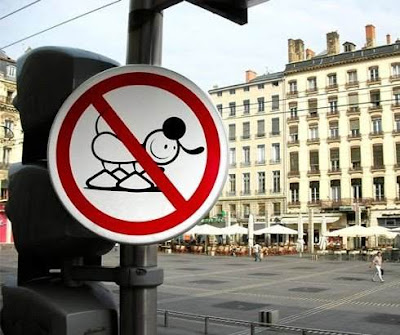 unusual street signs