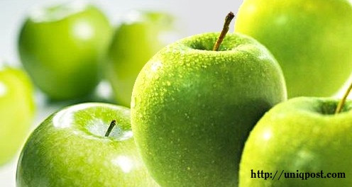 Ebook Cara Bersetubuh dan Pancutkan Isteri | Facebook