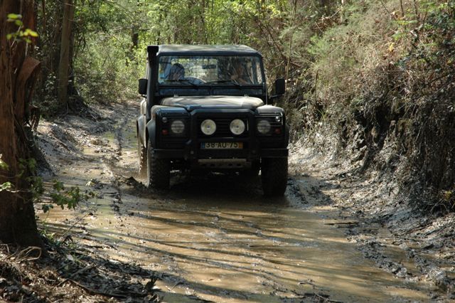 [DSC_5898.JPG]