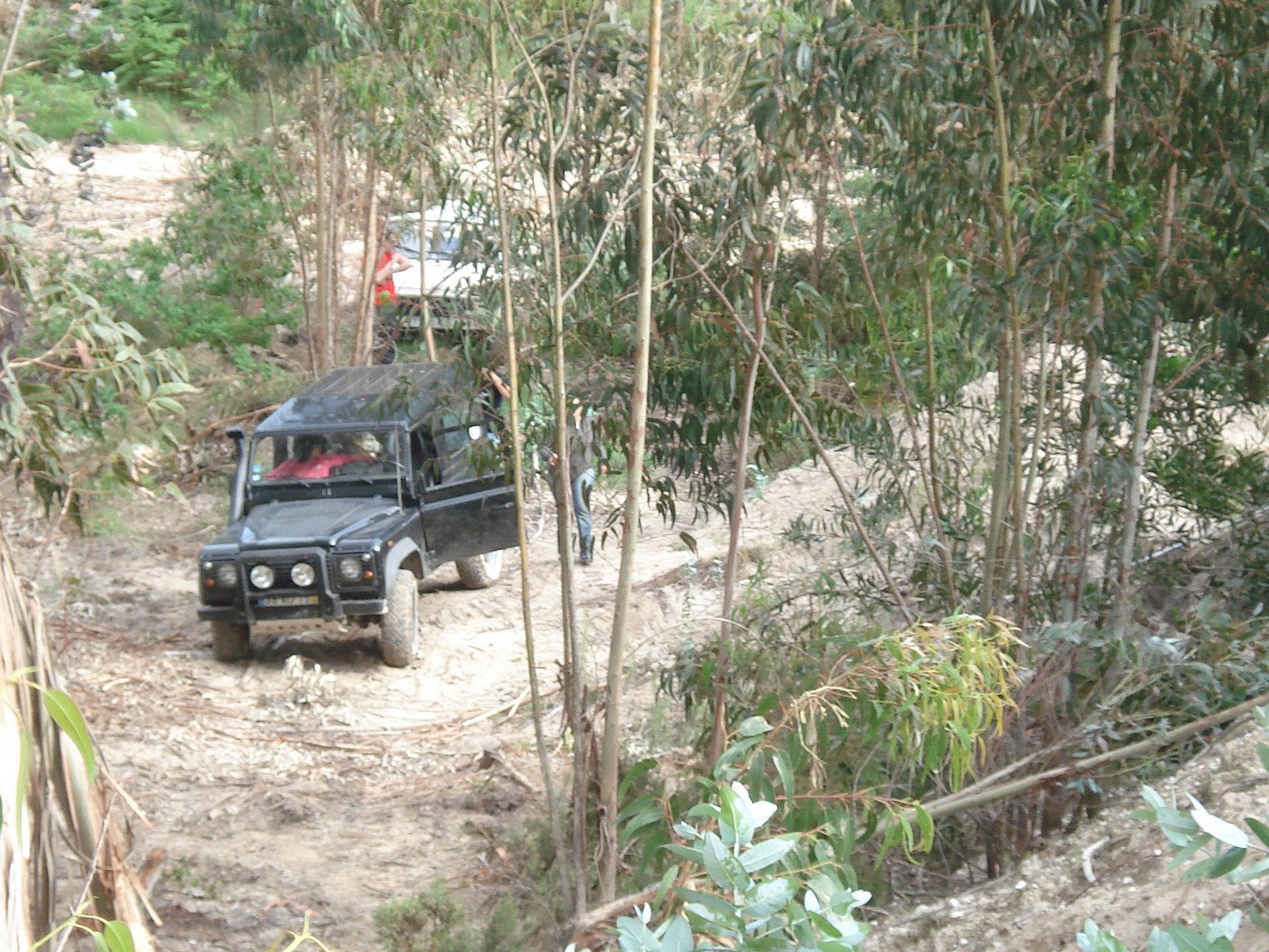 [DSC03548.JPG]