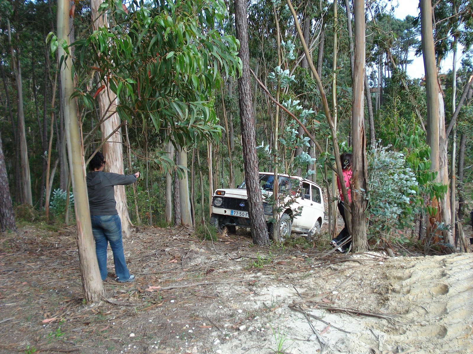 [DSC03562.JPG]