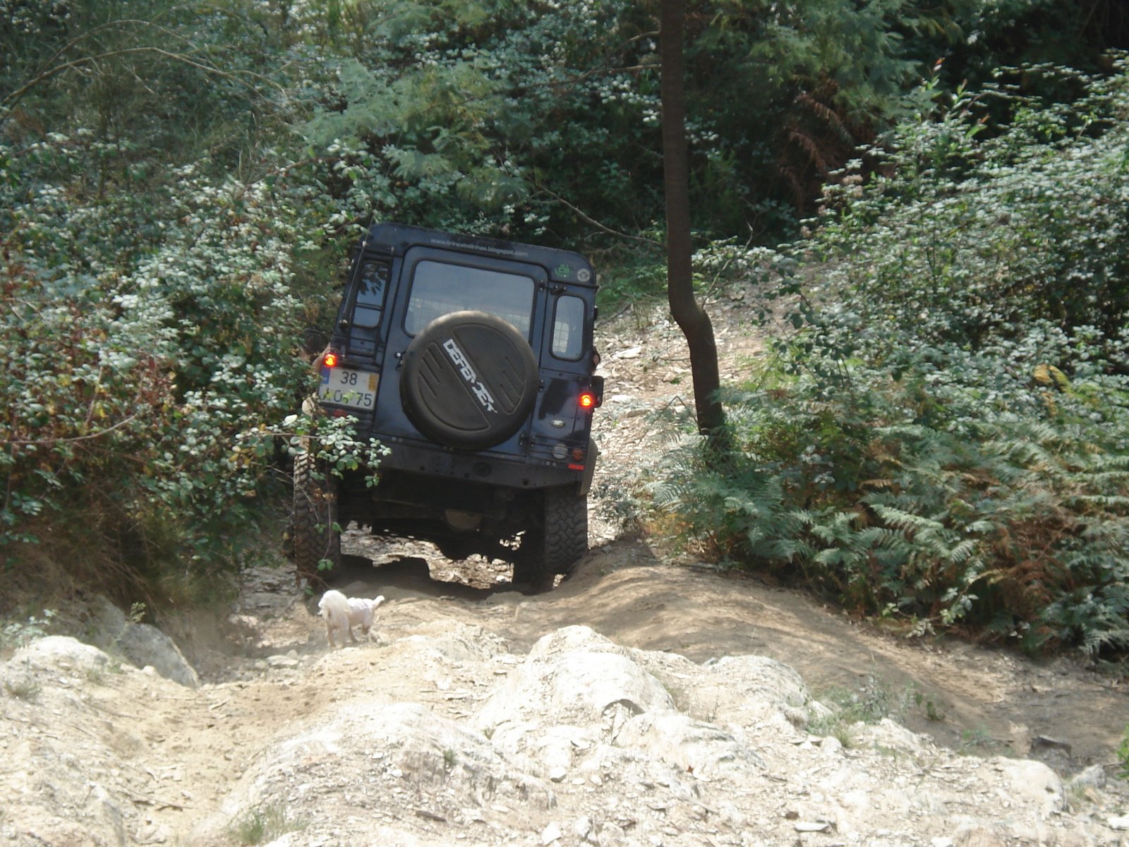 [DSC05745.JPG]