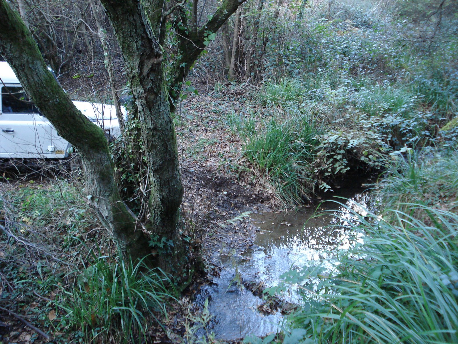 [DSC08215.JPG]