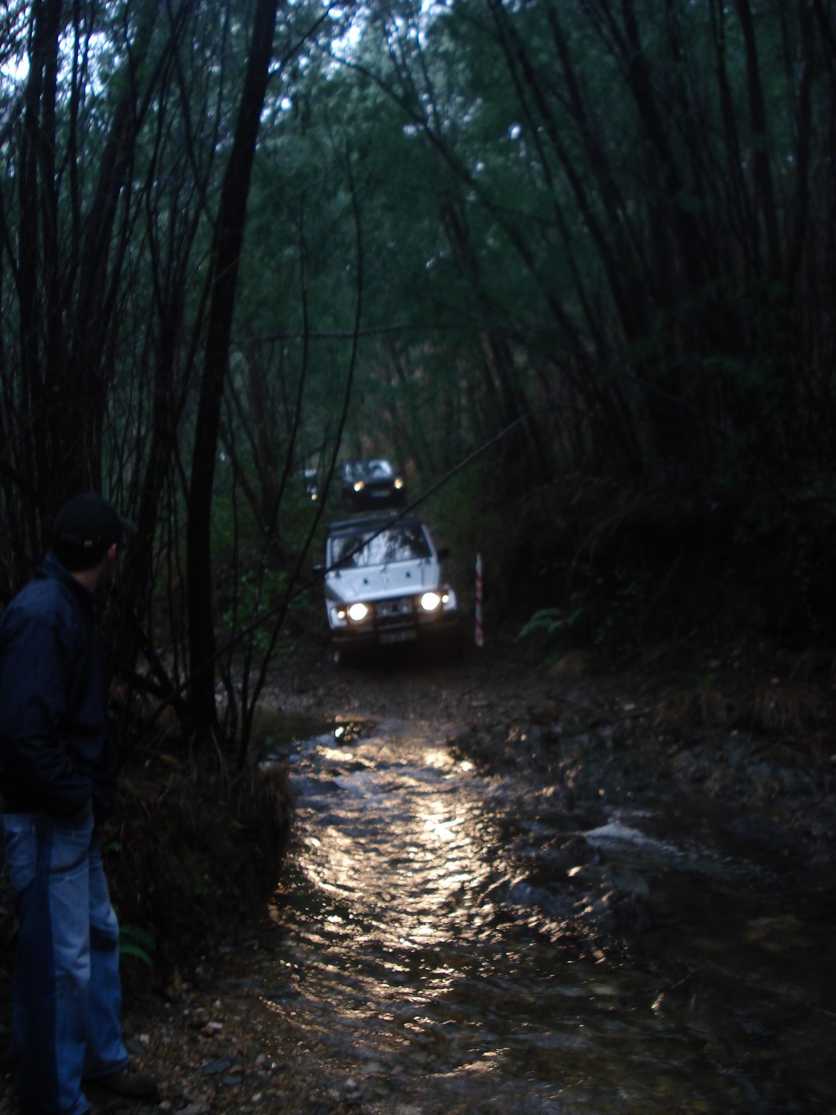 [DSC00113.JPG]