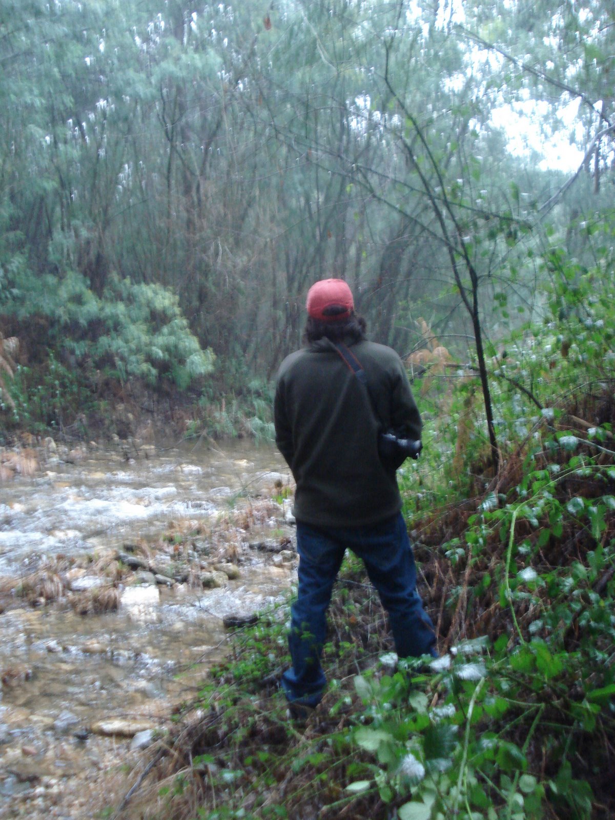 [DSC00092.JPG]