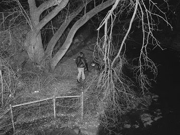 THEORY: "Photography is Easy, Photography is Difficult (2009)"