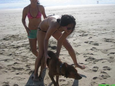 http://4.bp.blogspot.com/_hBv0I8vGiaU/TBDSHusHV0I/AAAAAAAAAh0/WXfd89d1UQw/s1600/Luna_Maya_On_Vacation_(8).jpg