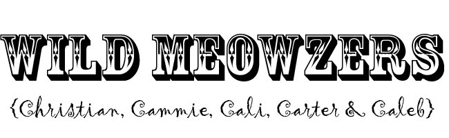 Wild Meowzers