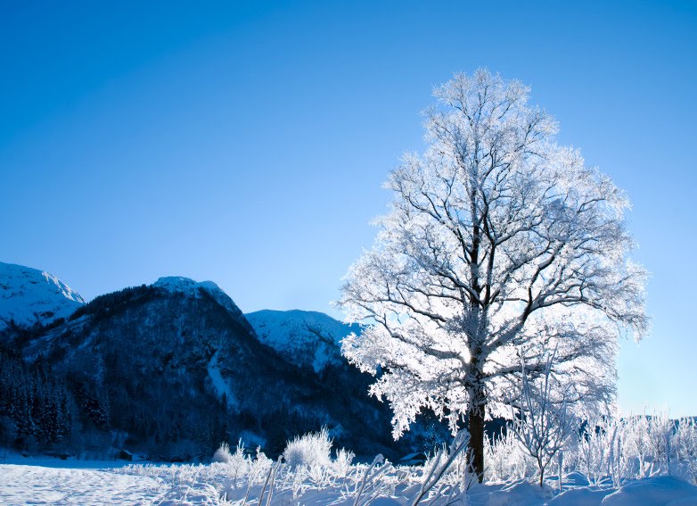 [frozennorway.jpeg]