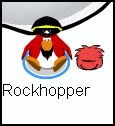 [rockhopperreal.JPG]