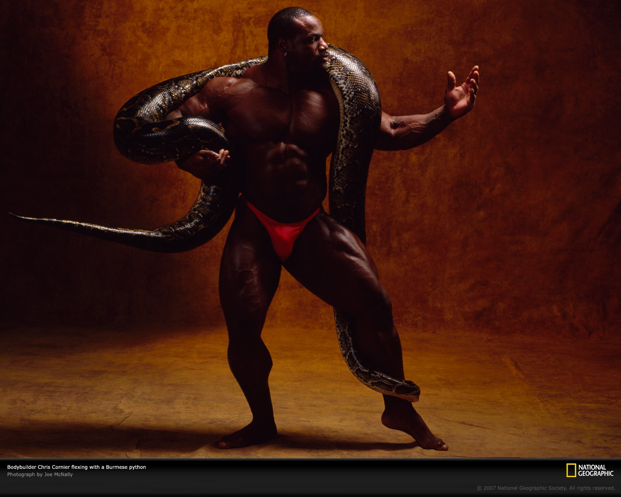 http://4.bp.blogspot.com/_hEeDlsg8wA4/TSa8v7-OQRI/AAAAAAAAA-w/wAEOKqud2Xs/s1600/bodybuilder-snake-656892-xl.jpg