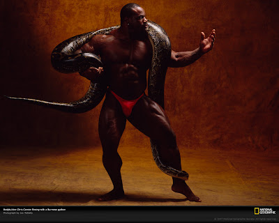 Desktop Wallpapers Best Of Bodybuilding Amp Fitness