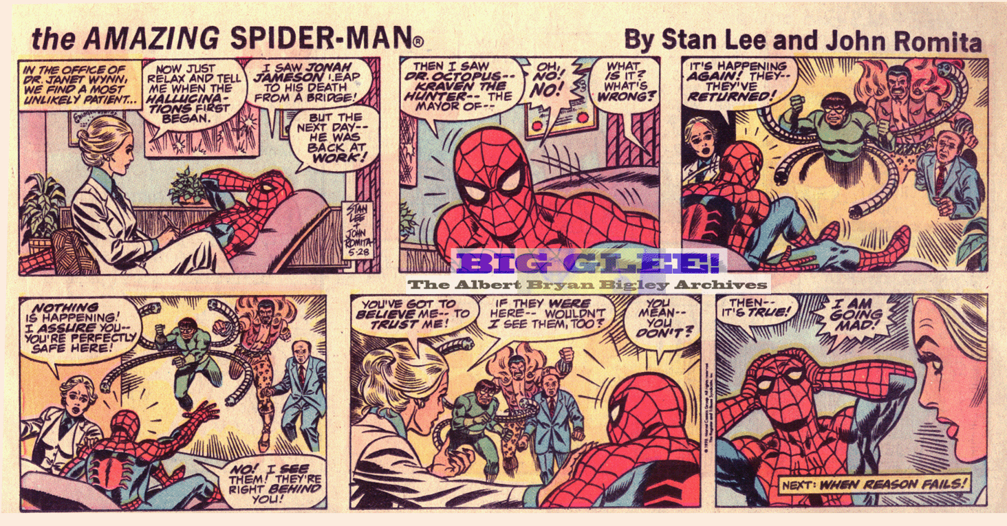 Spider Man Strip