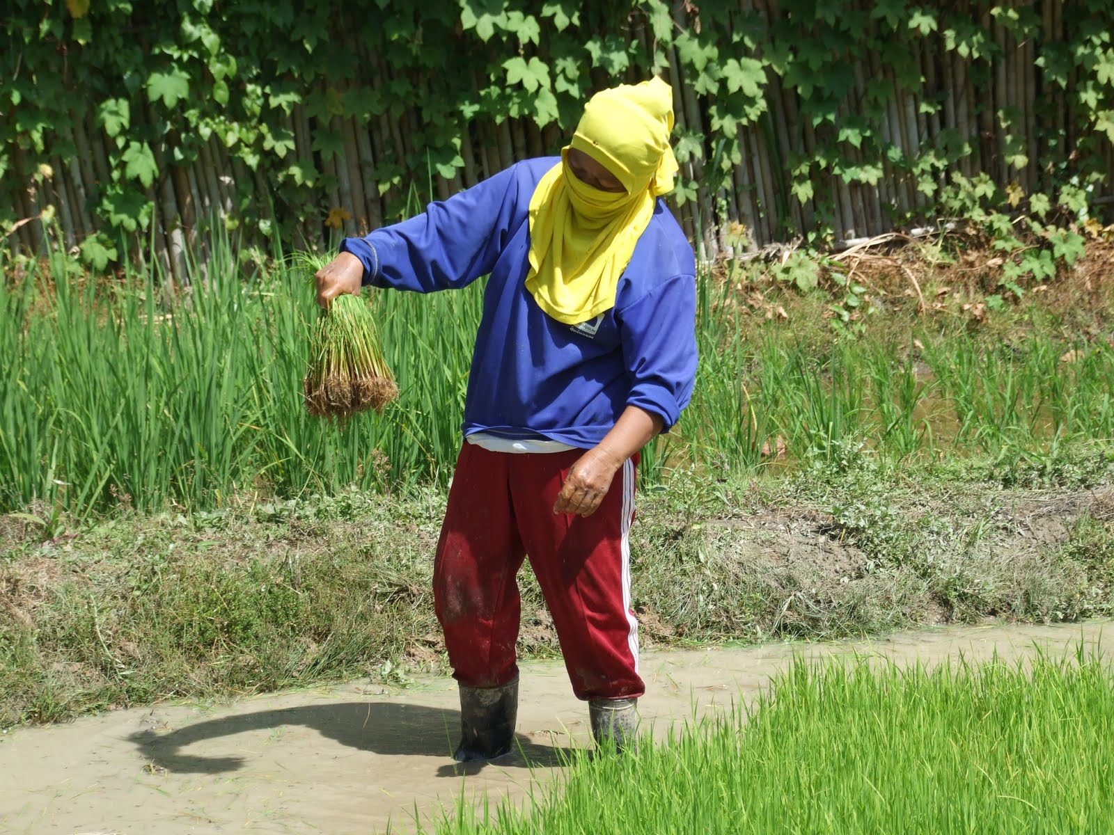 [DSCF5000.jpg]