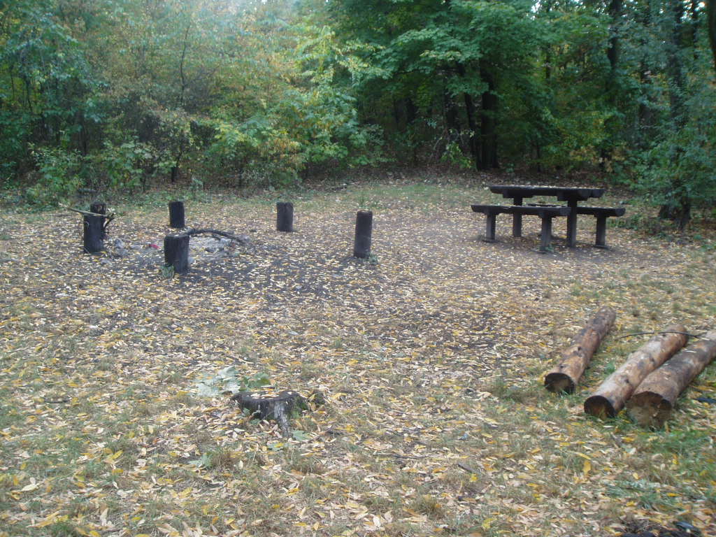 [P1010054.JPG]