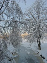 [Fagrdalsparken060105.jpg]