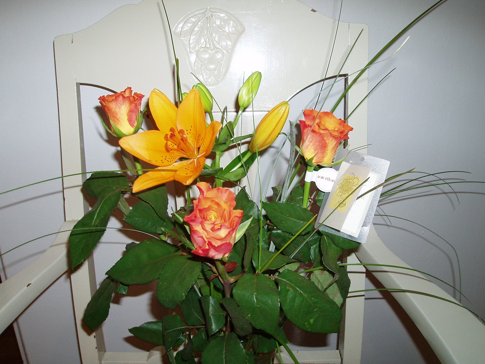 [P1121489.JPG]