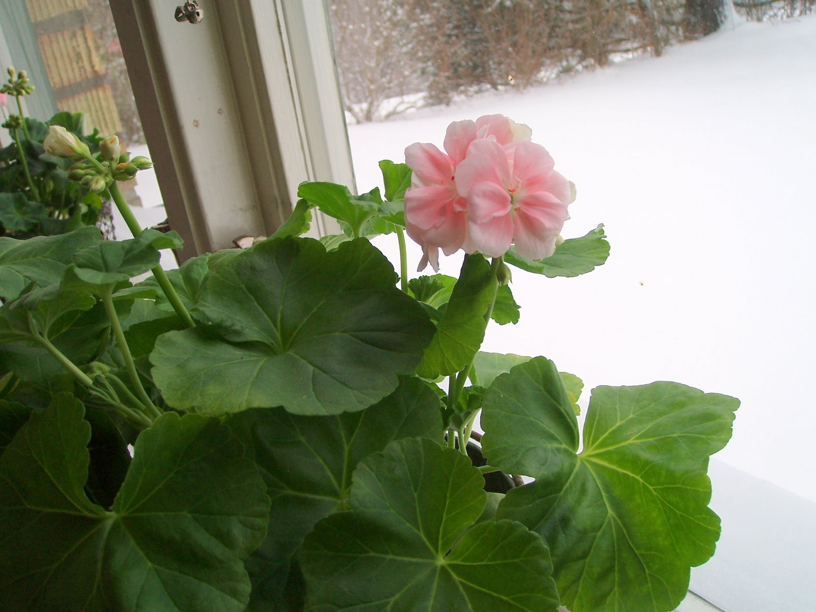 [P1271574.JPG]