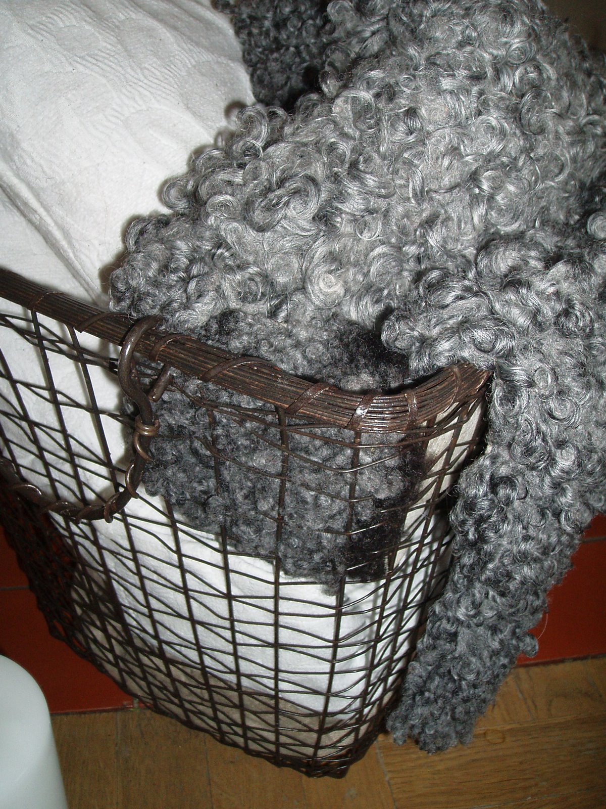[P2131728.JPG]