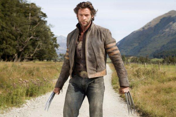 [Wolverine.jpg]