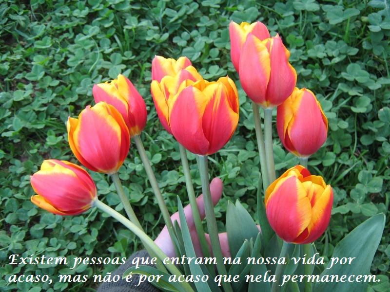 [IMG_2898.jpg]