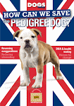 How to save the Pedigree Dog