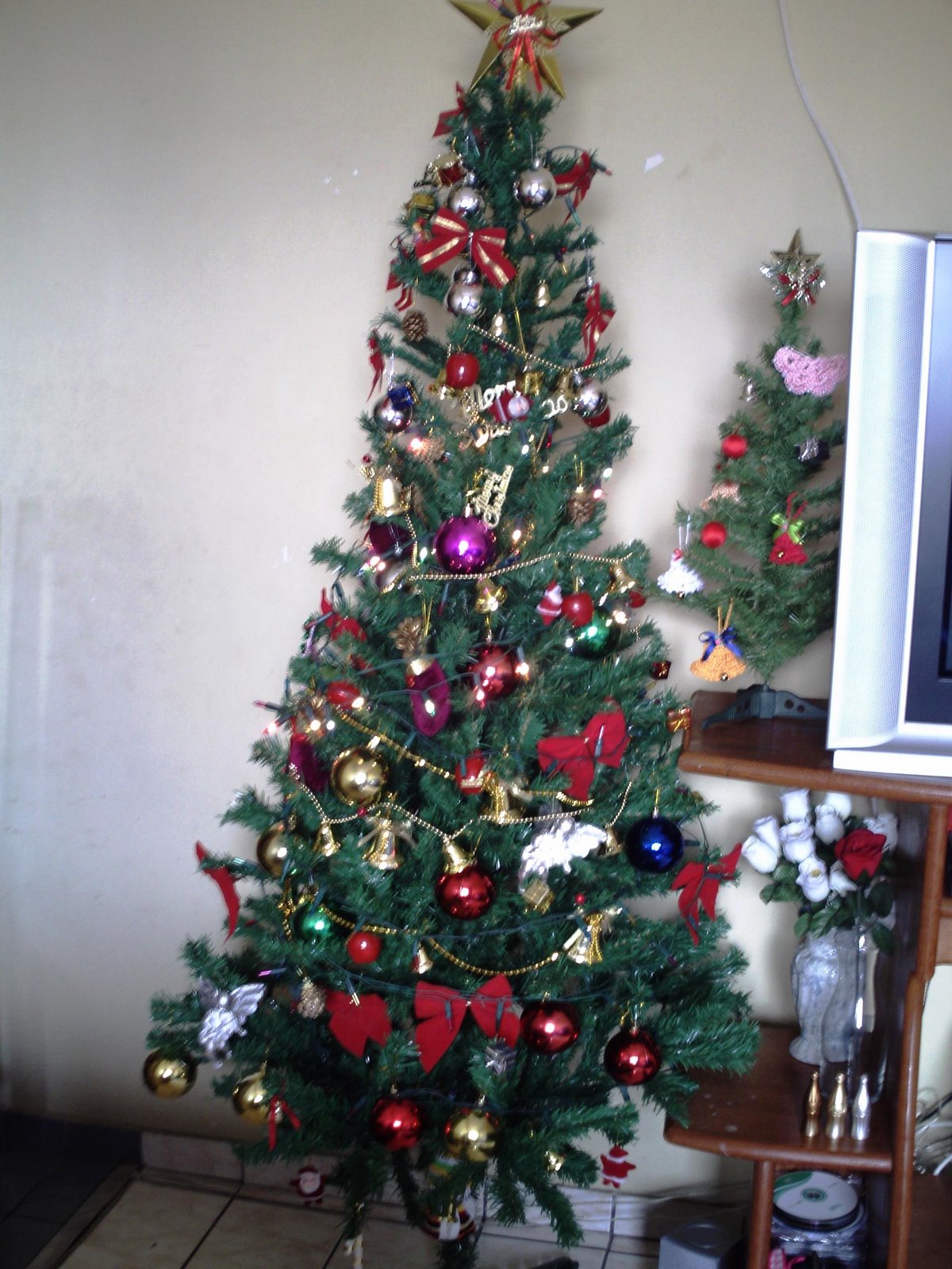 [PICT0041.JPG]