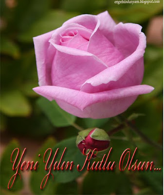 Pembe gül temalı yeni yıl kartı