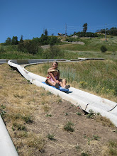 Alpine Slide