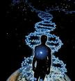 Dna Of Jesus