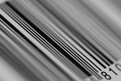 [2801120772_86466164e0.jpg]